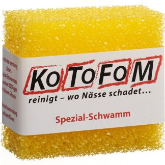 Kotofom Schwamm GrII
