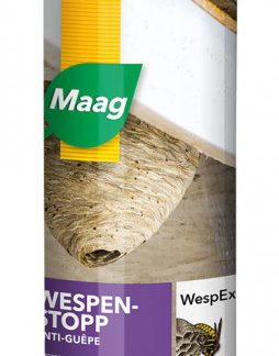 WespEx Biozid Aerosol Spraydose 500 ml