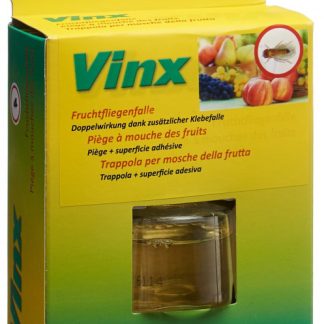Vinx Fruchtfliegenfalle mit Klebestreifen