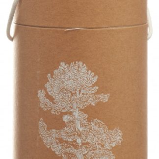 BERG&KRAFT Pinus Cembra Duftholz Globe inklusiv ätherisches Öl & Späne