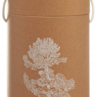 BERG&KRAFT Pinus Cembra Duftholz Pine inklusiv ätherisches Öl & Späne