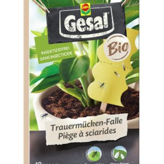 Gesal Trauermücken-Falle Bio 10 Stk
