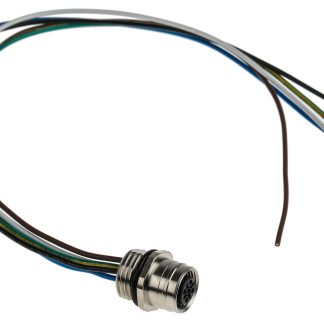 Cavo sensore/attuatore Brad from Molex 5 cond. M12 Femmina / Senza terminazione, L. 300mm