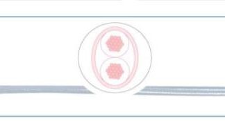 Cavo di collegamento apparecchiature AXINDUS, 2 x 0,38 mm², 22 AWG, 600 V, 250m, Bianco, MIL-W-22759