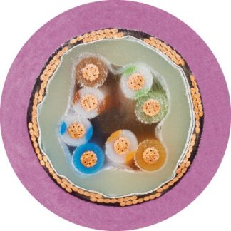 Cavo dati schermato a 8 cond. 0,15 mm², 26 AWG, 50 V, Ø8.5mm, L. 50m