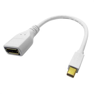 Cavo DisplayPort Roline da Maschio Femmina, 210mm